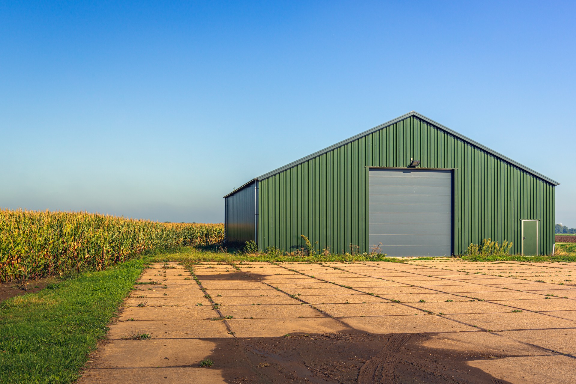 Cold-formed steel vs. hot-rolled steel. Affordable steel buildings. Custom steel building designs. Cold-formed steel barns Steel-framed agricultural buildings Cold-formed steel farm sheds Pest-resistant steel barns Cold-formed steel animal shelters Steel buildings for crop storage Cold-formed steel for greenhouses Steel-framed equipment storage Prefabricated steel farm buildings Cold-formed steel livestock barns Insulated steel barns for farming